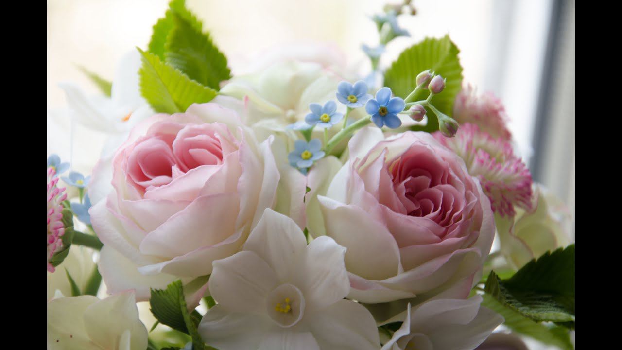 Caccd51286ffb7d8404fa14ef9a65508