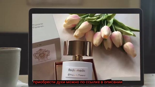 Тициана Терензи Андромеда Описание Аромата