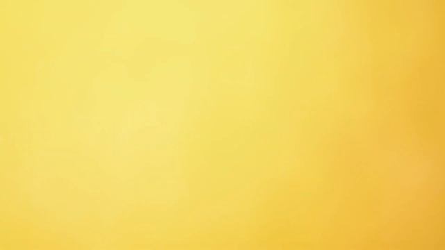 Пчела на подсолнухе. Nikon D7100 + M ZUIKO DIGITAL 17 Mm 1:1,8