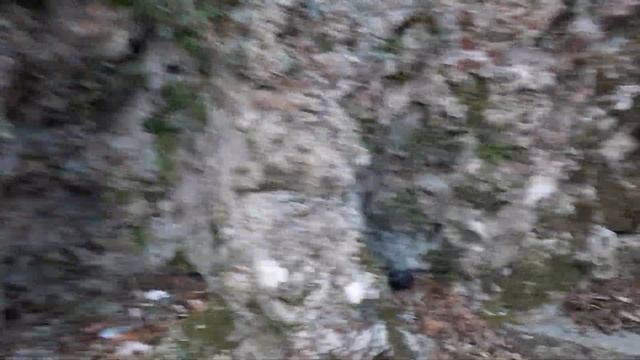 Жижа Создаёт Новый Город! Ах, это мы удачно припарковались!