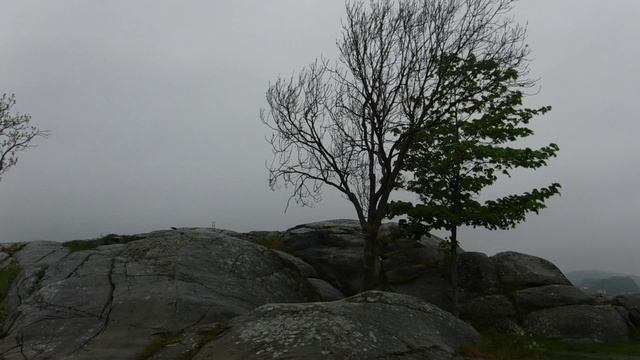 Звуки морского прилива.