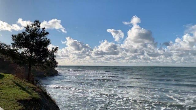 Безоборотное метание ножа. Школа Ахмаду. Геленджик 12.2021.