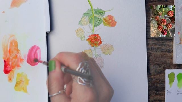 PAINTING BLACKBERRIES