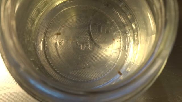 Мальки гуппи кушают