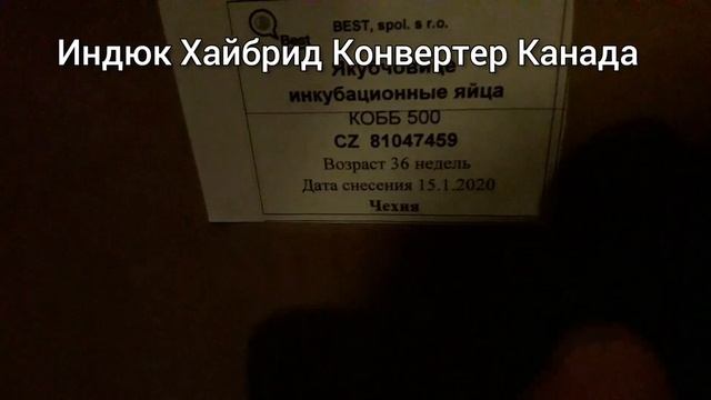 Строительные Инсайты