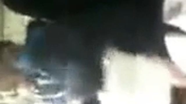 САДЫ ПРИДОНЬЯ    ПЛОДОСАВХОЗ