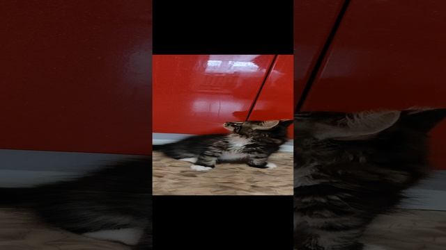 Семья Бубряк