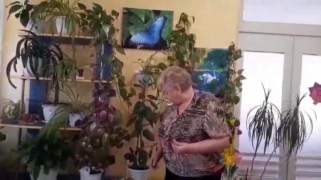 9a4eed3061262106216e0bf9e25c543b