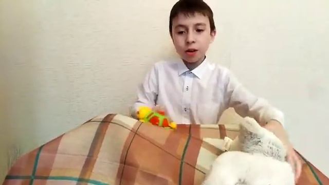 Габдулла Тукаю - 134. Таш бака белэн куян!