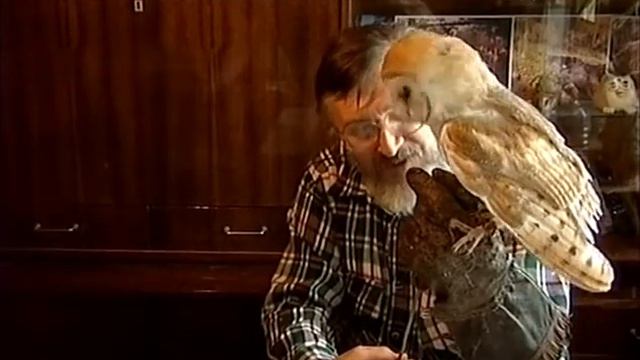 Вся Россия 2009