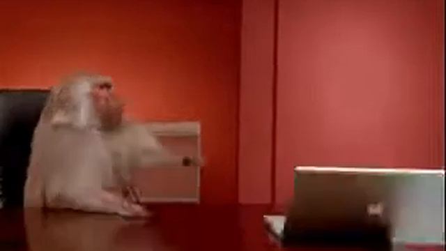 3dbcbf67e05865b9b9121425678f2986