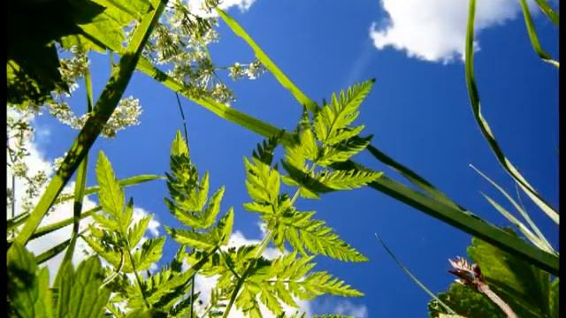 3d7ad4904a4db5a688062b3fb33fb53f