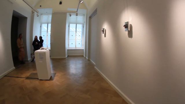 29 мая 2012 - открытие выставки 