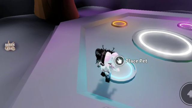 ДЕЛАЕМ НЕОНОВОГО ПОЛЯРНОГО МЕДВЕДЯ! || КАК ОН ВЫГЛЯДИТ? || ROBLOX