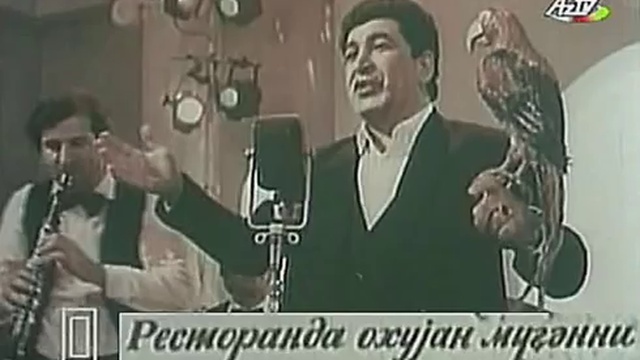 БОКА-МАДАМ ПОПУГАЙ.█▬█ █ ▀█▀