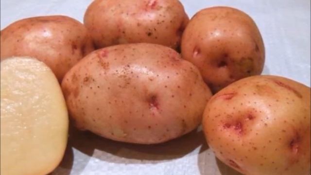 Картофель Жуковский ранний Колетте Гала: популярные сорта российской и зарубежной селекции