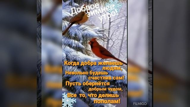 С ДОБРЫМ ФЕВРАЛЬСКИМ УТРОМ !КРЕПКОГО ЗДОРОВЬЯ ВСЕМ!!!