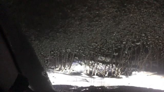 Автоэксперимент с адреналином