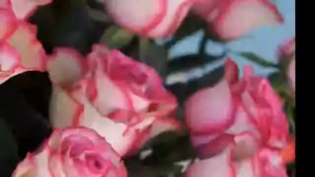 Я ТЕБЯ ПОЗДРАВЛЯЮ!