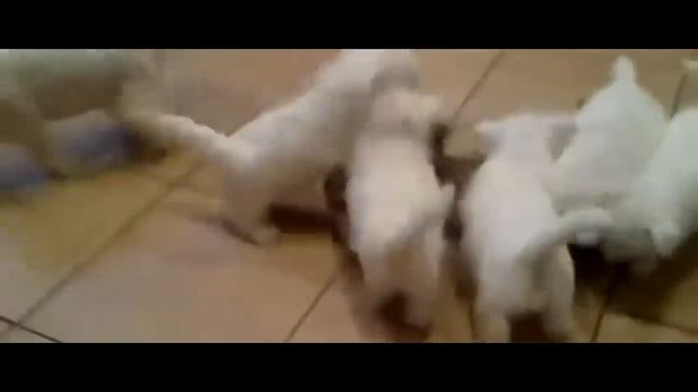 5dfbf036cf3b6e0665ff056101a60c13