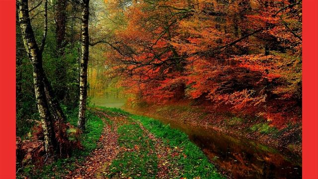 ОСЕННИЕ УЗОРЫ