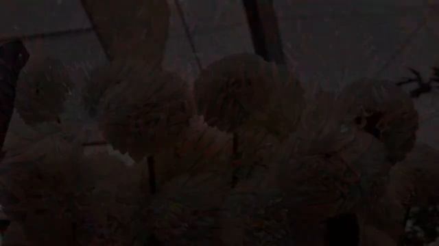 Георгины,будто из сказки...