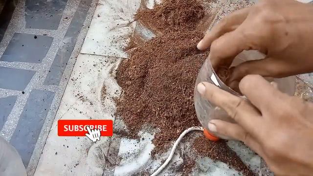 Convert Waste Plastic Bottle Into Self Watering Pot.