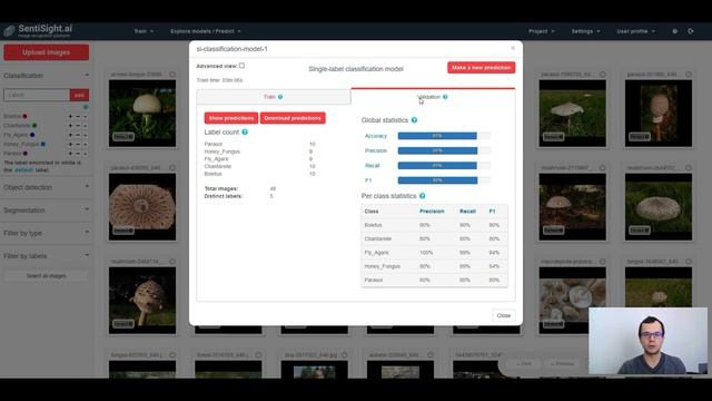 SentiSight.ai Basic Workflow Tutorial