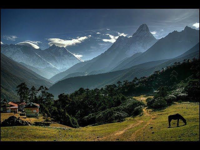 Баллада о словах и чувствах, Светлана Черных .