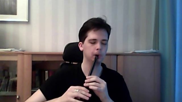 Witcher 3 OST - Cloak And Dagger (Tin Whistle Cover)