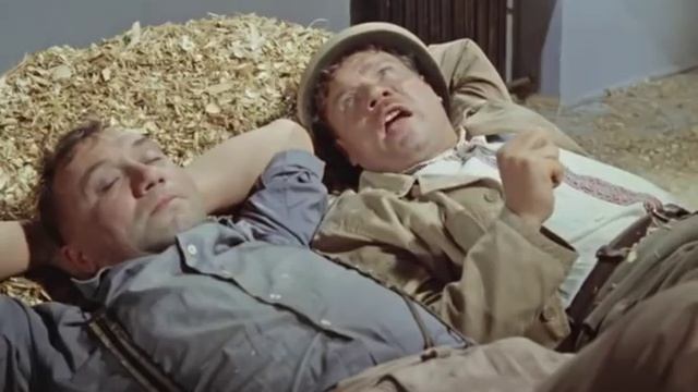 Работа не волк - в лес не ... о, нет-нет, это не надо...