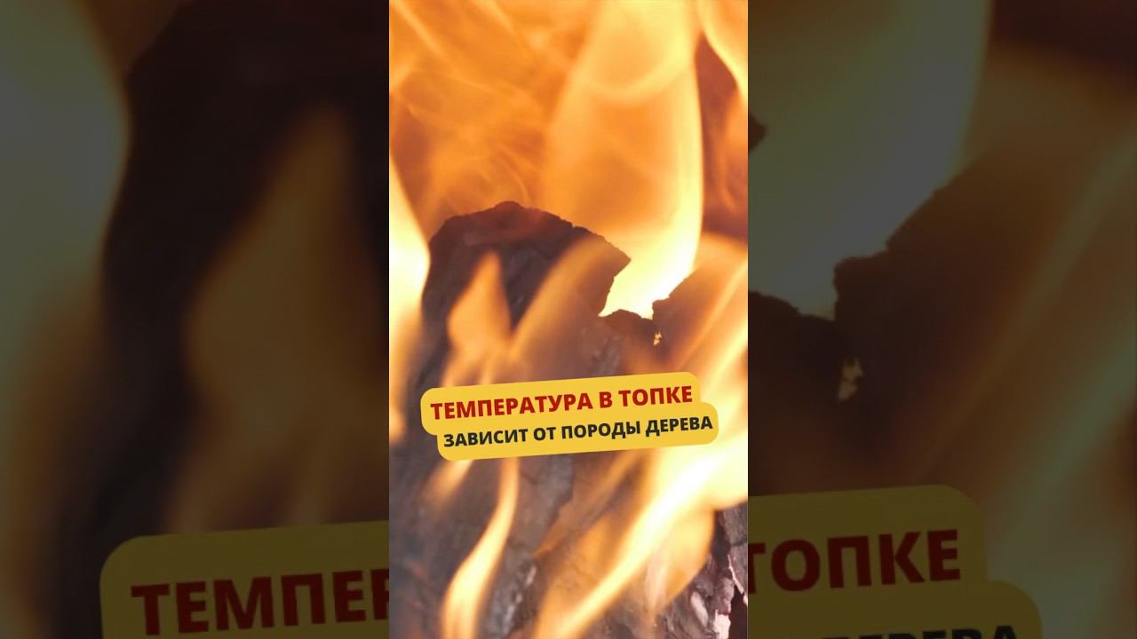 Какую температуру в топке печи дадут разные породы древесины #баня #банька #печьдлябани #печи