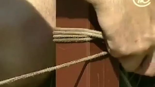 Установка забора из профнастила