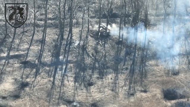 D1cc44ee702cf9fb7d8603161772e6fd