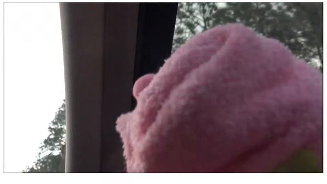 PETUNIA Takes A ROAD TRIP-LEARN COLORS For Toddlers & Pre-School