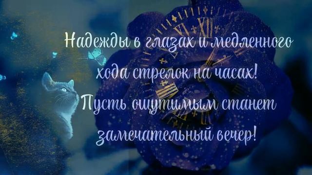 8f9c0eb263c80772a206b90a69561d01