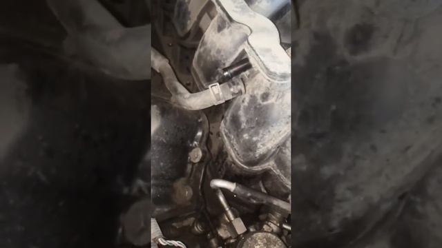 Эксклюзивный стиль