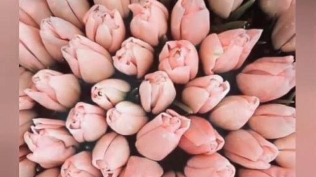 10e3c3f6fec659dd16aee716c28e59c9