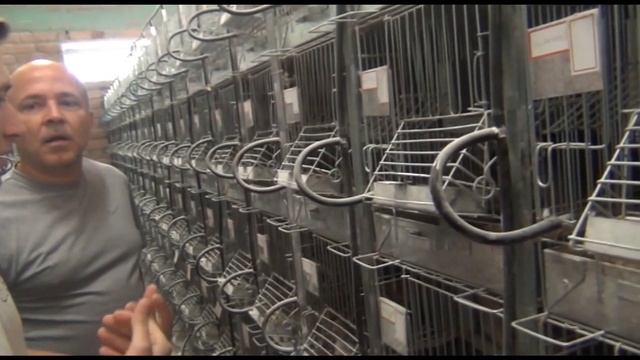 7b219b5f3ad48094adc04a0d88d84573