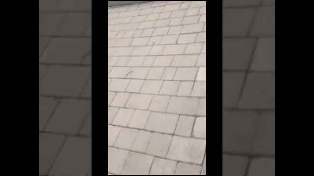 BMX .С братом устроили покатушки