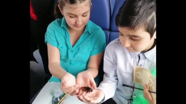 «Магический экспресс».mp4