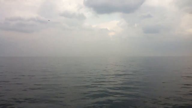 Панорама озера Мичиган