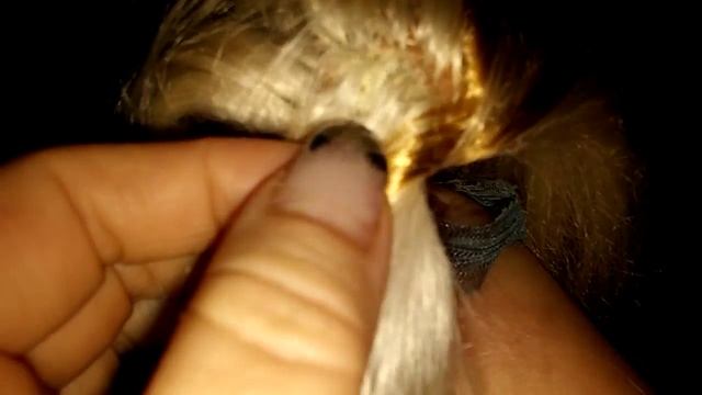 0d680897ccb6ce84a8050d00b1516c50