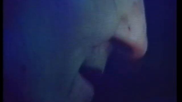 Пётр Мамонов - Новые дни («Земля-Воздух», 2003)