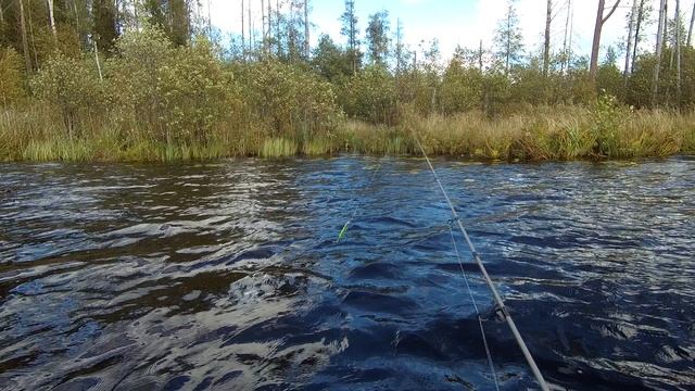 Озеро Сухое  23.09.2018.