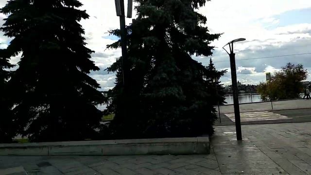 Эстетика Глупости