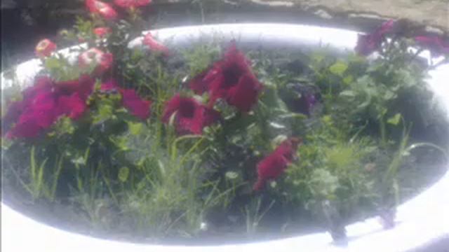 Сабантуй с. Лямбирь.wmv