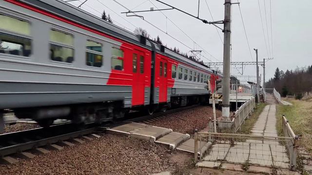 Приветливый! Электропоезд (Демих) ЭД4М-0411 рядом с о.п. Шевелёво.