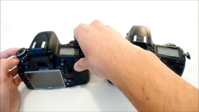 Nikon D600 Vs. D700: ISO Noise, Dynamic Range, AF, Shutter Sound, Video Mode