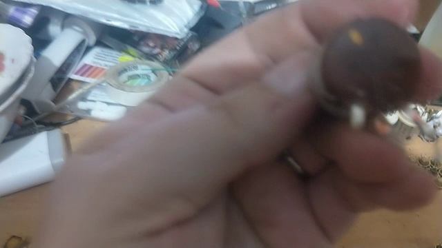 Выгодно приобрел платы